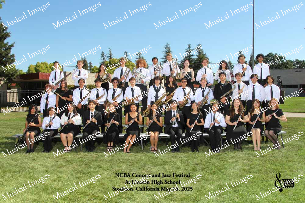 Musical Images
